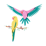 Imagen anterior del producto